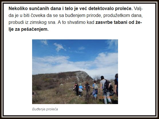 nedeljko rakic 2