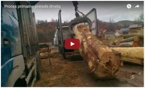 proces prerade drveta